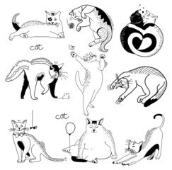 drawn funny cats of different breeds playful