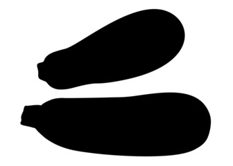 Large zucchini set. Vector image.