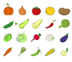 Set fresh vegetables with line art elements. Great for design of healthy lifestyle and different advertising projects. Vector illustration