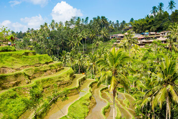Obraz premium City of Cuzco in Peru, South America