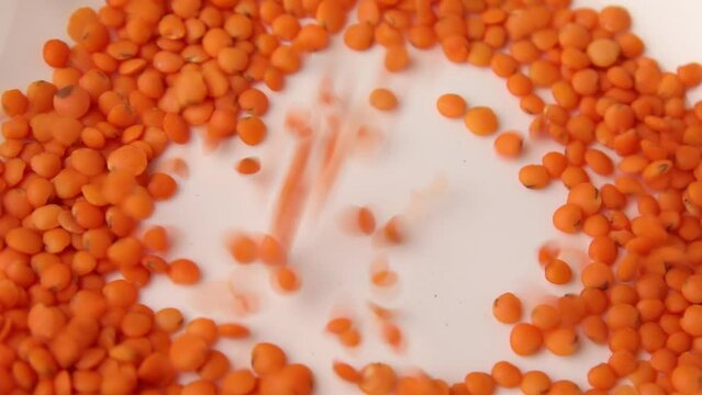 Masur Bilder Durchsuchen 189 Archivfotos, und Videos