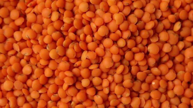 Rotation red lentils texture background, Dry orange lentil grains pattern, dal wallpaper, raw daal dhal, masoor, Vegetarian Healthy Organic Food Diet