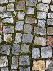 Cobblestone pavement on a green grass. Top view of stone road with shallow DOF.Detail of granite sidewalk taken from above. Old street cobblestones for backdrop or your design. Abstract vintage paveme