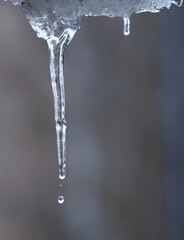 A drop of water detached from an icicle falls down