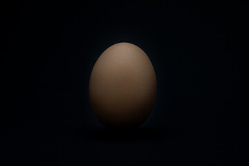 egg on a black background. chicken egg on a black background