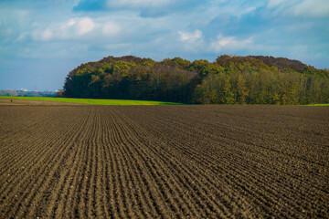 Fototapeta na wymiar Agriculture concept. Landscape with agricultural land.