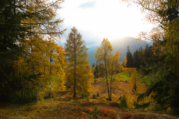 Herbst Naturpark Kaunergrat