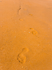 Fototapeta na wymiar sandy sea beach with human track, summer sea vacation background