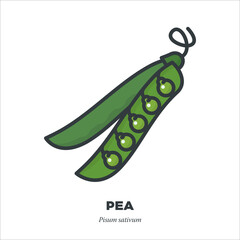 Pea pods icon, filled outline style vector illustration