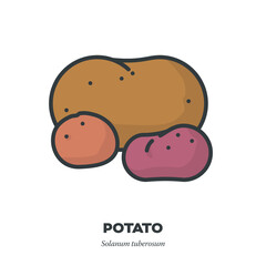 Potato tubers variety icon, filled outline style vector illustration