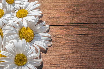 Obraz premium Daisies on a wooden table