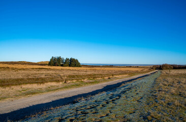 Rundweg durch das Naturschutzgebiet Morsum Kliff in der Sonne im Winter, Insel Sylt