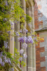 charlecote park stately home estate and park warwickshire england europe 