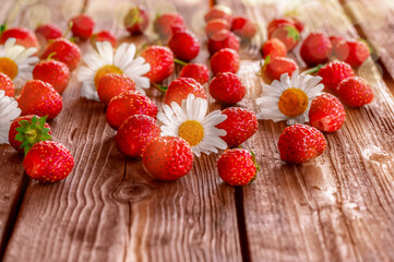 Red berries and chamomile on the table