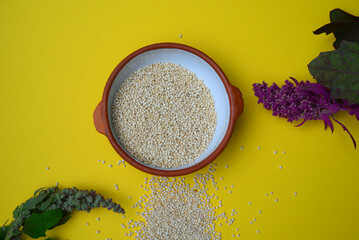 Chenopodium quinoa, known as quinoa, quinoa (both from the Quechua kinwa) or quinoa (also from the...