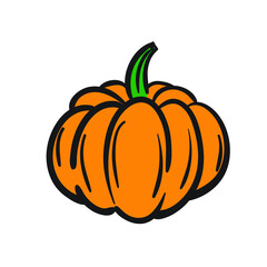 Orange Pumpkin hand drawn isolated on white