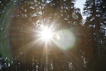 Nature