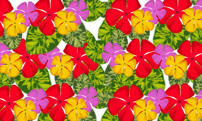 Fototapeta na wymiar Colorful red ,yellow and pink tropical flower with green leaves hand drawn watercolor digital painting wallpaper design background