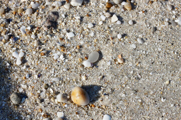 rocks on the beach