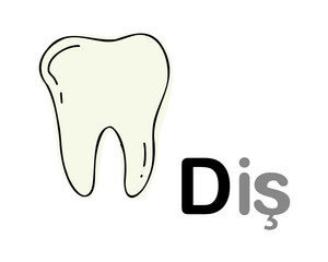 Turkish alphabet with a picture of a tooth. Translation from Turkish: tooth. Vector hand drawn illustration
