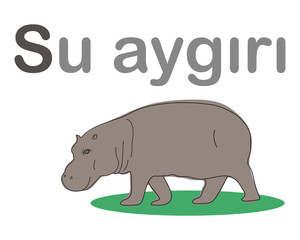 Turkish alphabet with the image of a hippopotamus. Translation from Turkish: hippopotamus. Vector hand drawn illustration