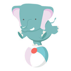 elephant on ball cartoon vector