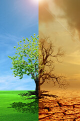 Climate change from drought to green growth. climate change withered earth. Global warming concept.A comparative picture of a dead tree and a tree as a concept of global environmental change.