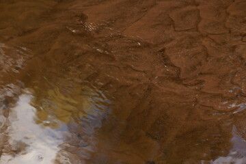 Sandy creek bottom, waves and ripples in shallow water