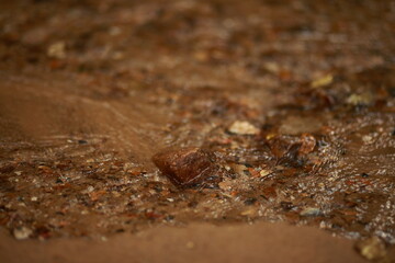 Close-up of the sandy bottom of a shallow stream, stones, rapids.
