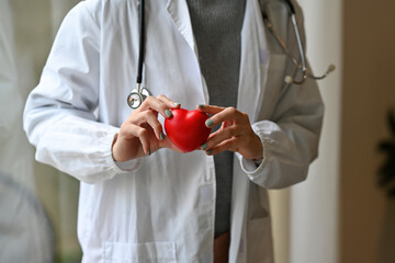 Cropped view of hands of a doctor in white coat standing in the office holding a heart model . for medical and health care concept.