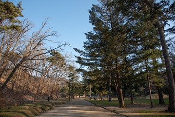 Late autumn scenery of Korean dirt road