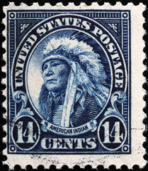 American indian chief on vintage postage stamp