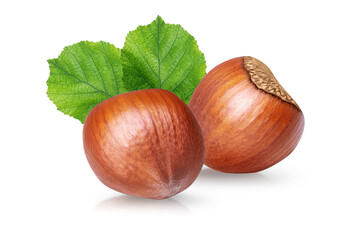 Hazelnuts with green leaves isolated on white background.