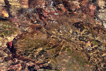 Close-up of the bottom of a shallow stream, stones, rapids. Sun glare on the water, frozen motion of the current.
