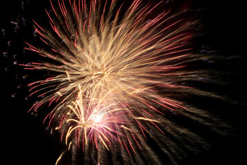 Fototapeta premium Fireworks in the black sky.