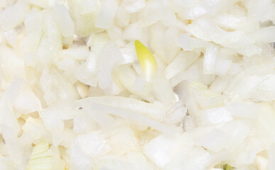 Fototapeta na wymiar Sliced onion as a background.