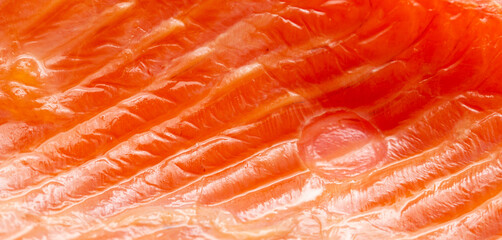 Red fish fillet as background.