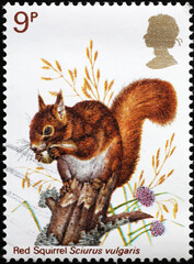 Squirrel on british postage stamp - obrazy, fototapety, plakaty