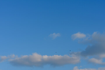青い空と白い雲
