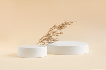 Podium for cosmetic product presentation. Abstract minimal geometrical form. Cylinder podium...