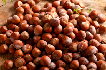 a hazelnuts nuts in shell on wooden board