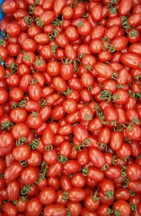 Fresh red cherry tomatoes