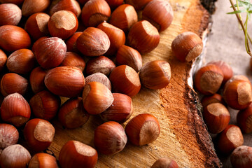 a hazelnuts nuts in shell on wooden board