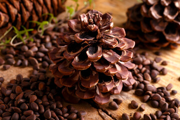 Siberian pine cone on wooden board with pine nuts