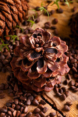 Siberian pine cone on wooden board with pine nuts