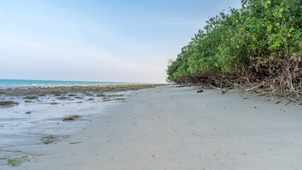 Kalapathar beach, one the most popular beaches of Havelock Island