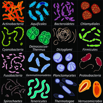 Set of different types of bacterias on black background, vector illustration
