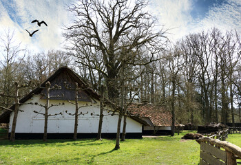 Fototapeta na wymiar old, traditional white barn in Bokrijk, Belgium