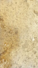 frozen clear water on the ground with streaks and frosty figs