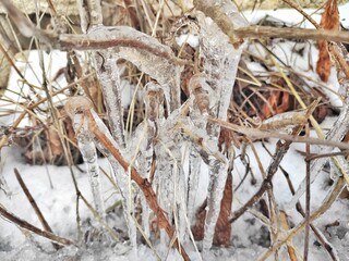 ice icicles froze after melting snow